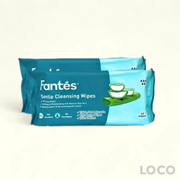 Fantes Adult Wipes 2x40s